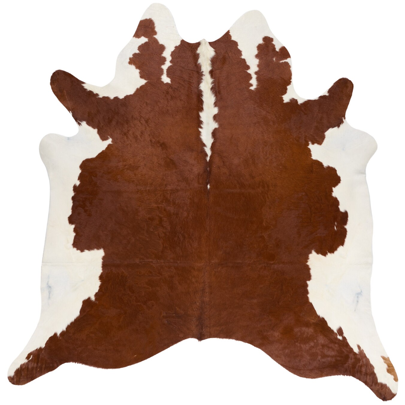Tapis en peau de vache 238x232 cm - vue de dessus