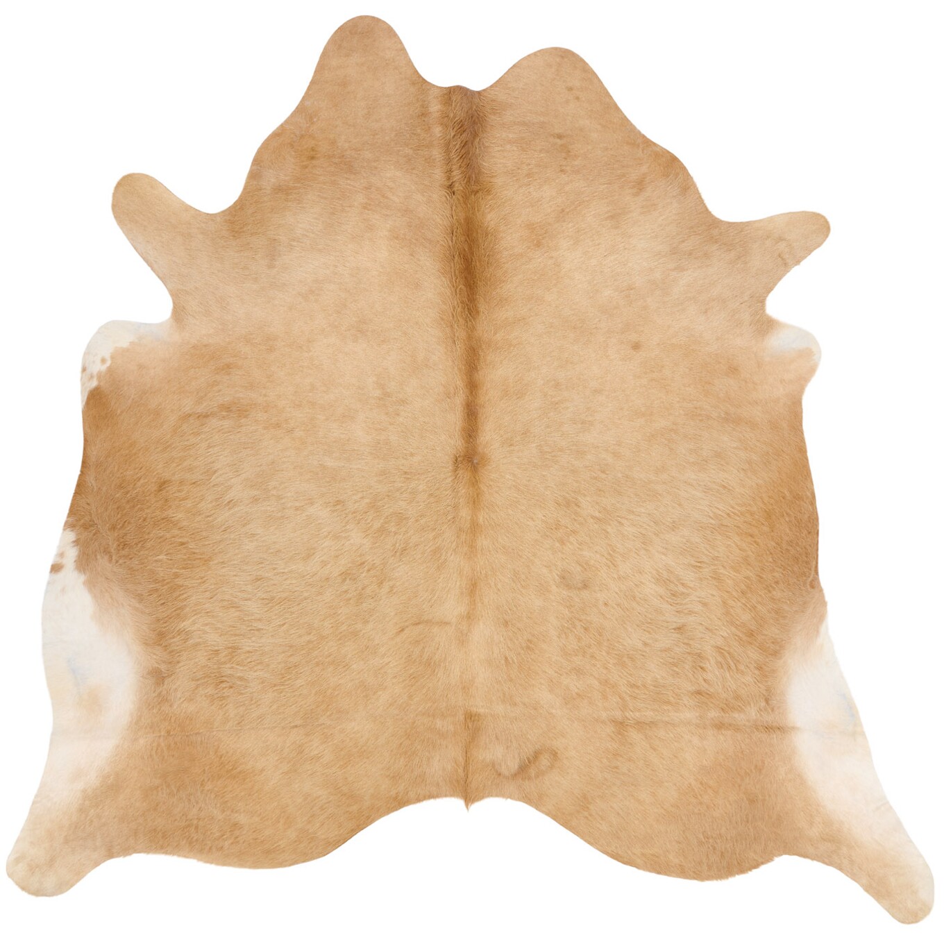 Tapis en peau de vache 237x232 cm - vue de dessus