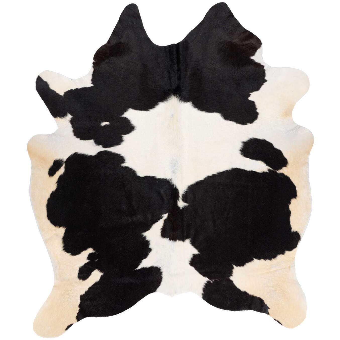 Tapis en peau de vache 238x204 cm - vue de dessus