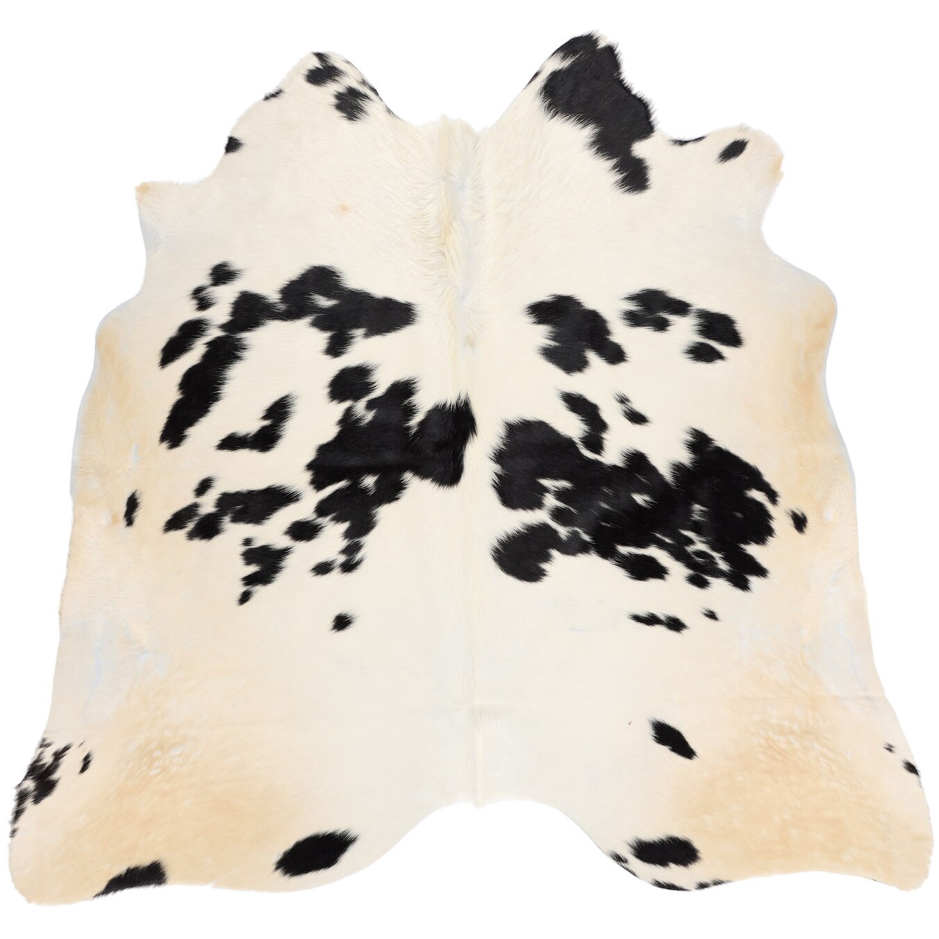 Tapis en peau de vache 229x217 cm - vue de dessus