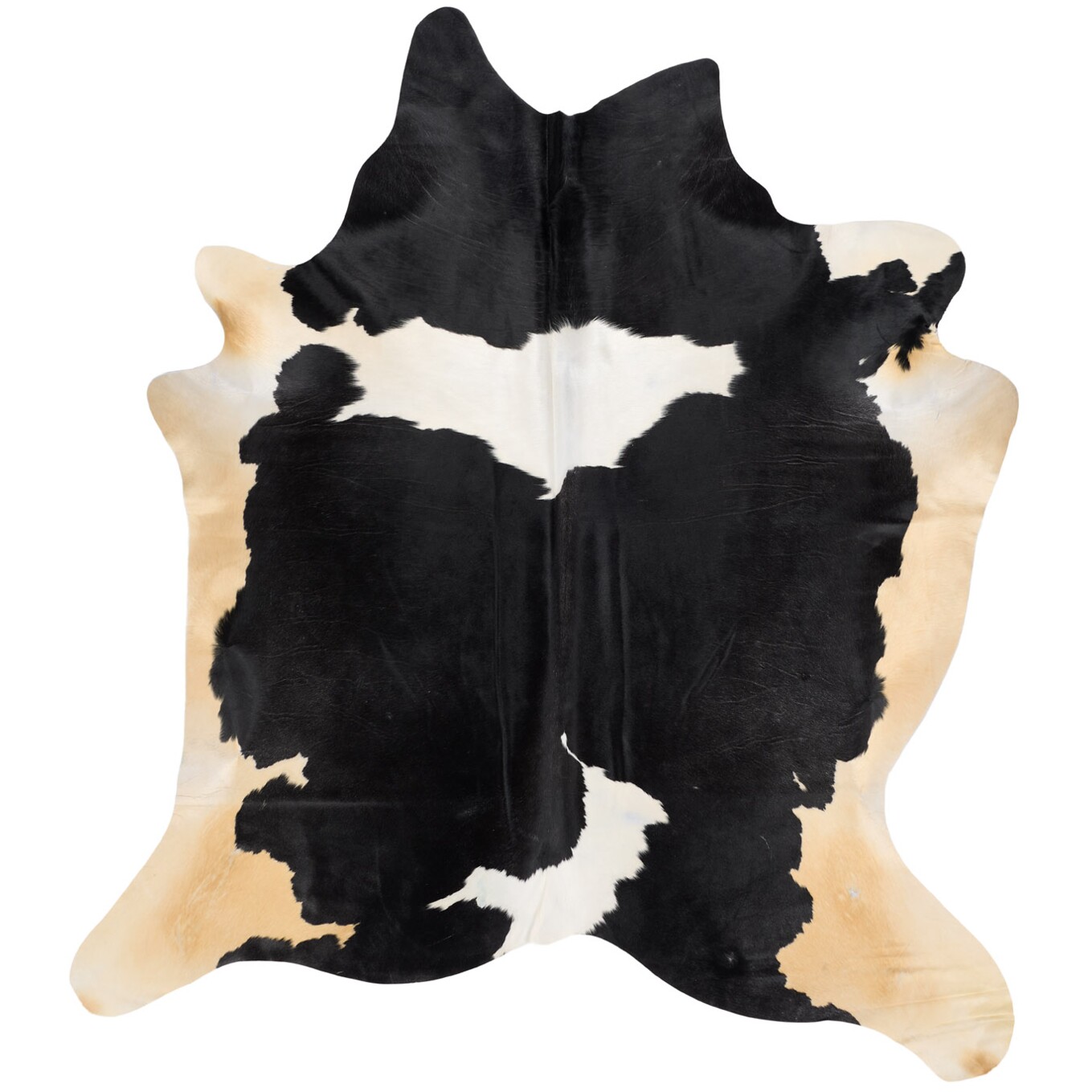 Tapis en peau de vache 251x222 cm - vue de dessus