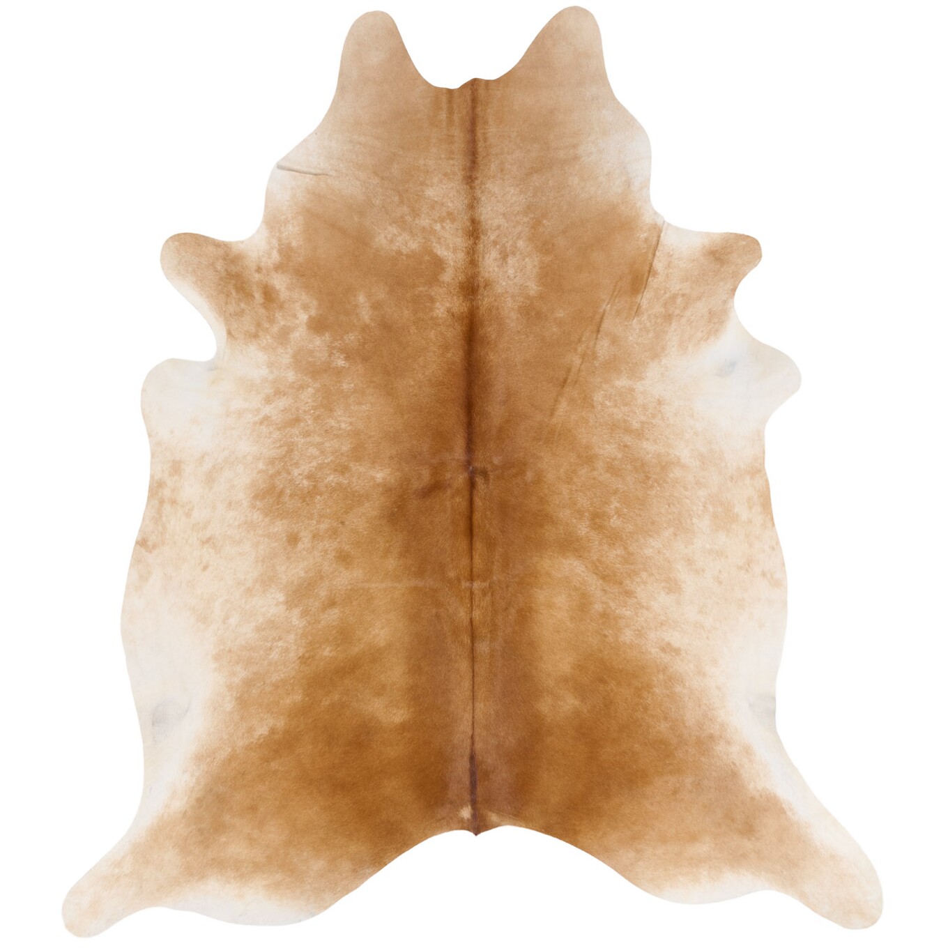 Tapis en peau de vache 254x224 cm - vue de dessus